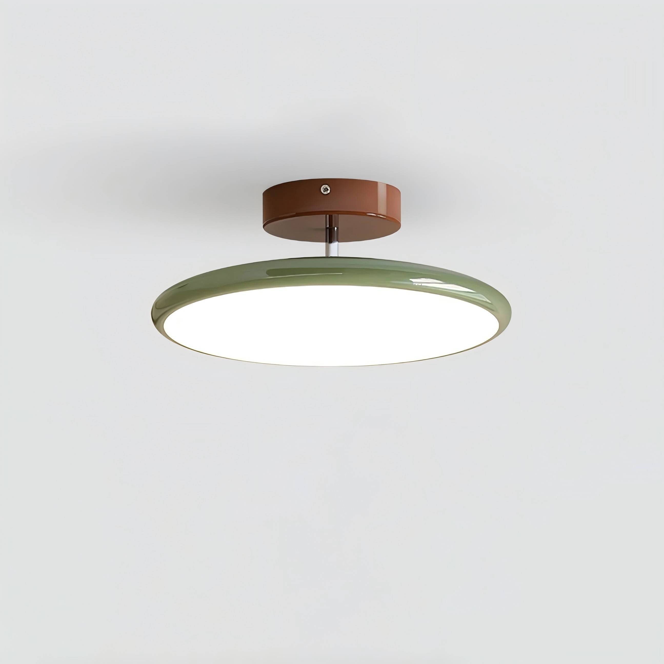 Modern Adjustable Disc Ceiling Lamp M367