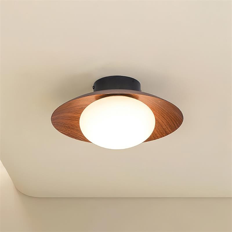 Dawn Creative Simplicity Ceiling Light M159