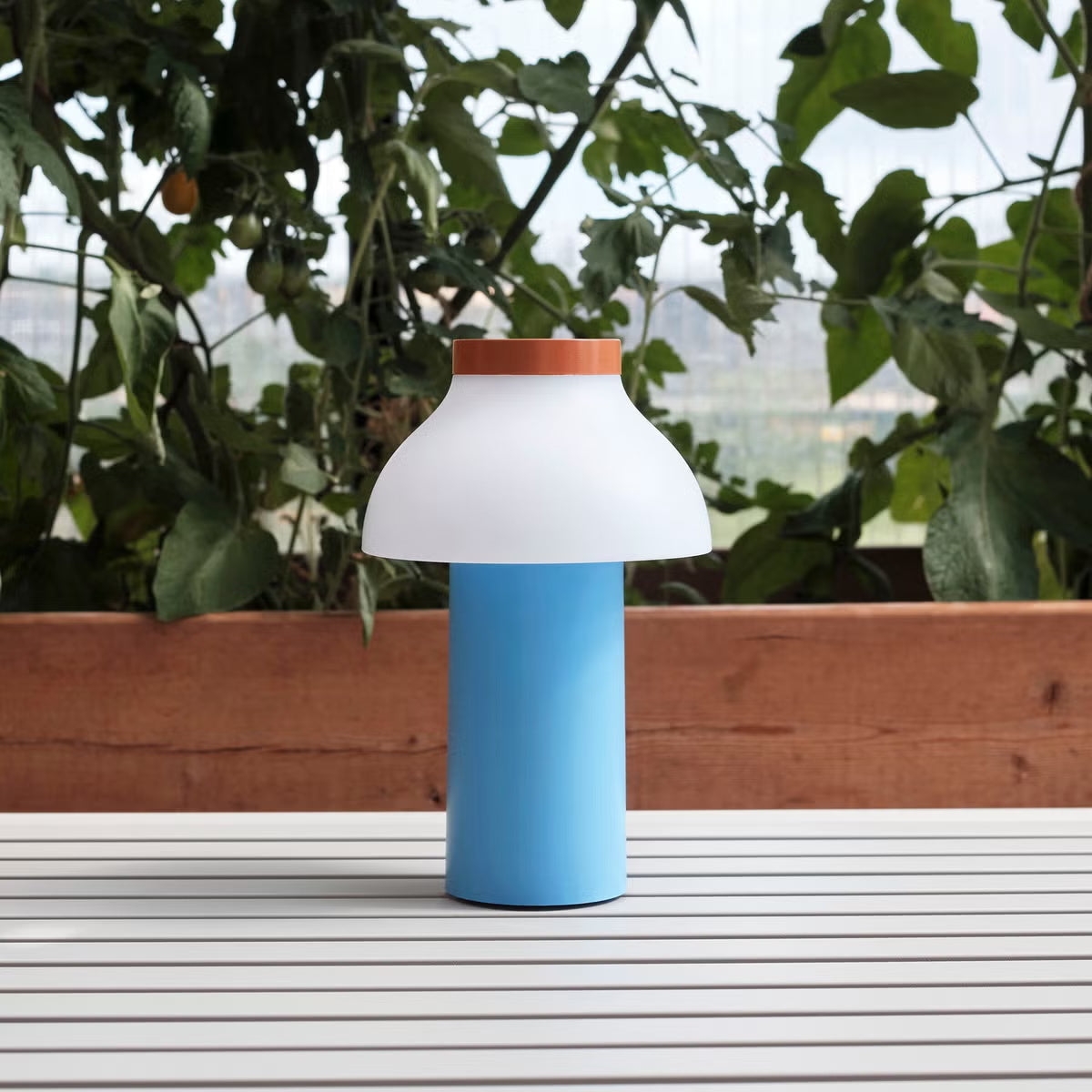 PC Portable Table Lamp D646
