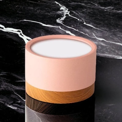 Don Nordic Modern Ceiling Light D881