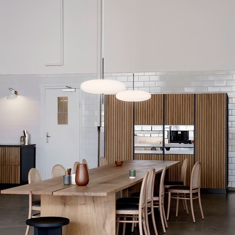 Modern Elliptical Shape Pendant Light