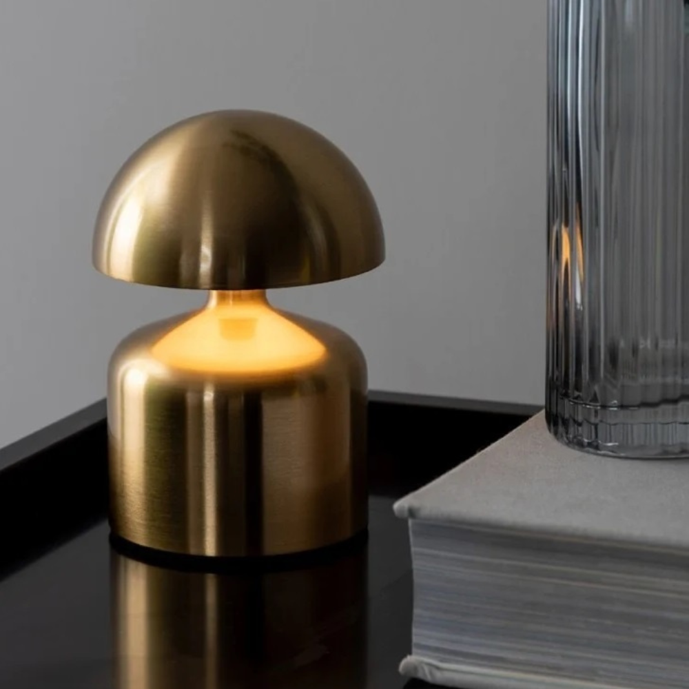 Luminous Nikkel Shine D844