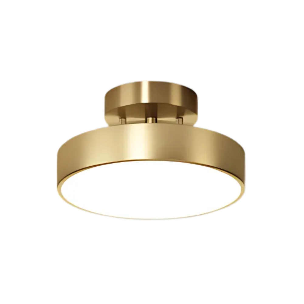 Celestial Luminary Ceiling Light D910