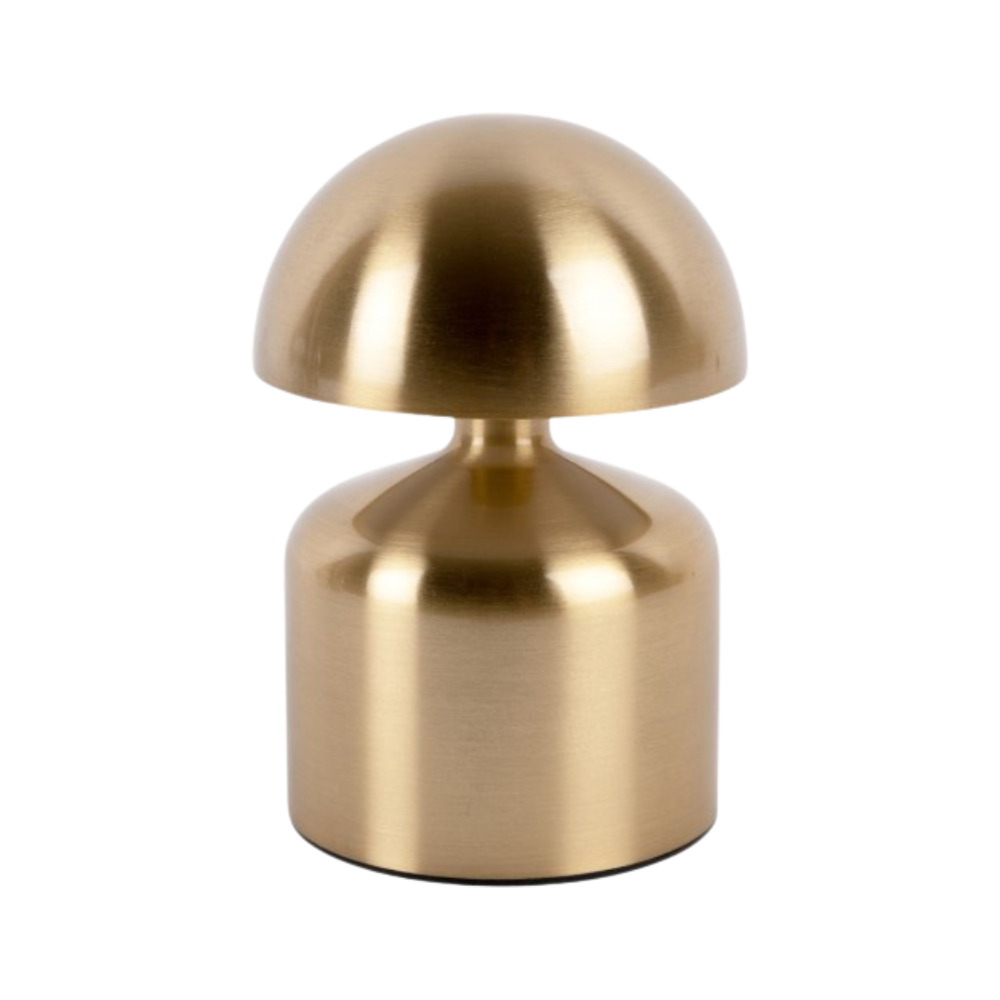 Luminous Nikkel Shine D844
