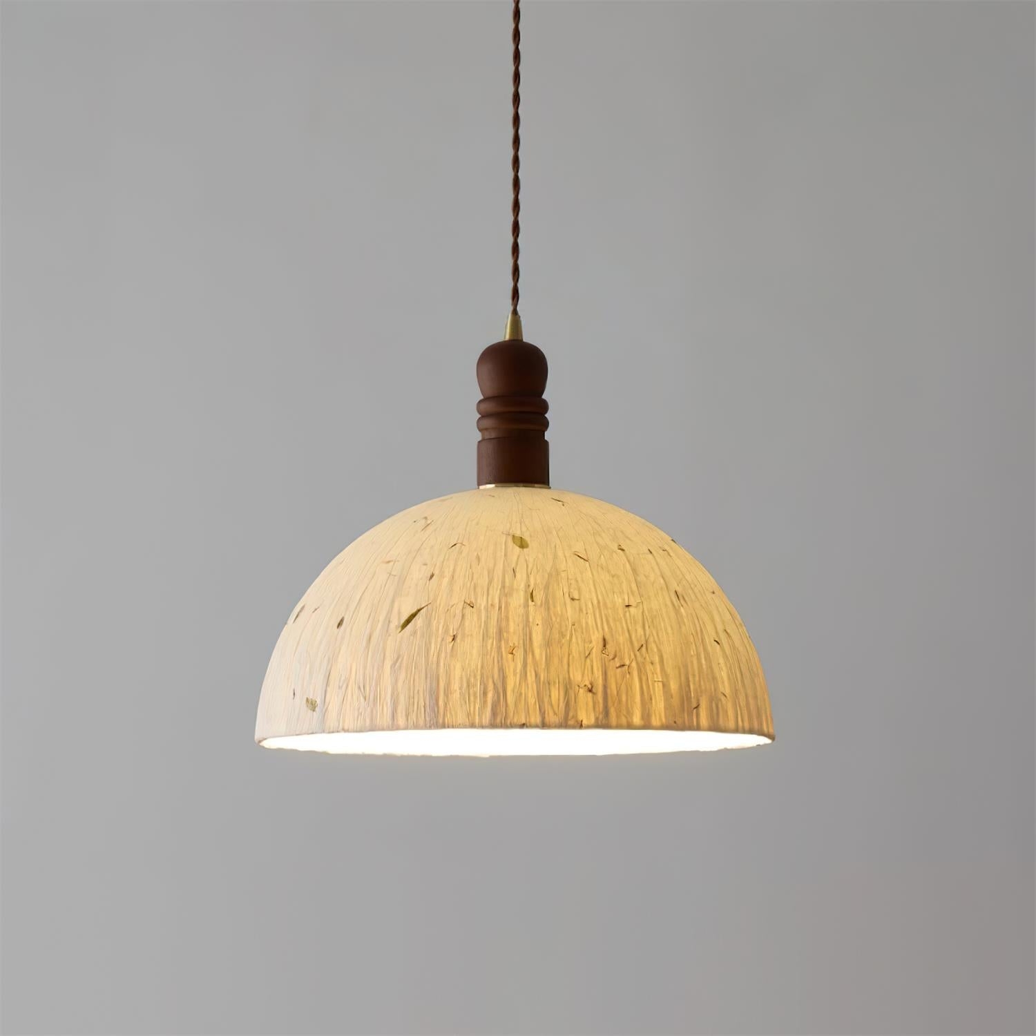 Sylvane Dome Pendant Lamp D192