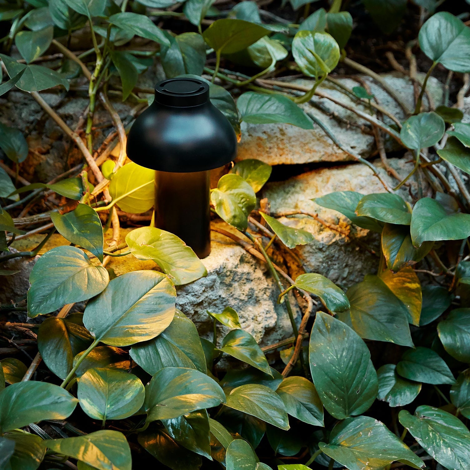 PC Portable Table Lamp D646