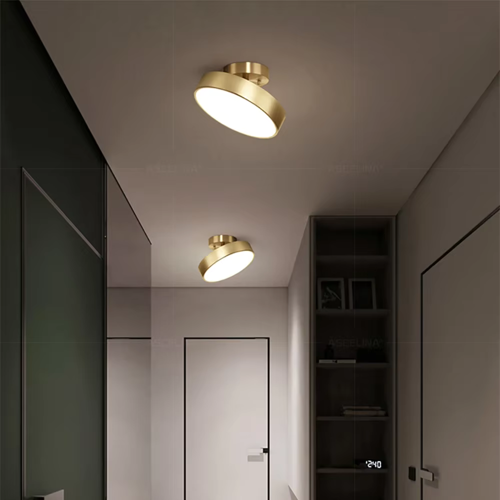 Celestial Luminary Ceiling Light D910
