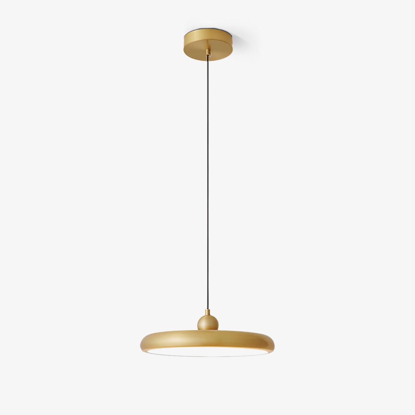 Thin Disc Pendant Lamp M509