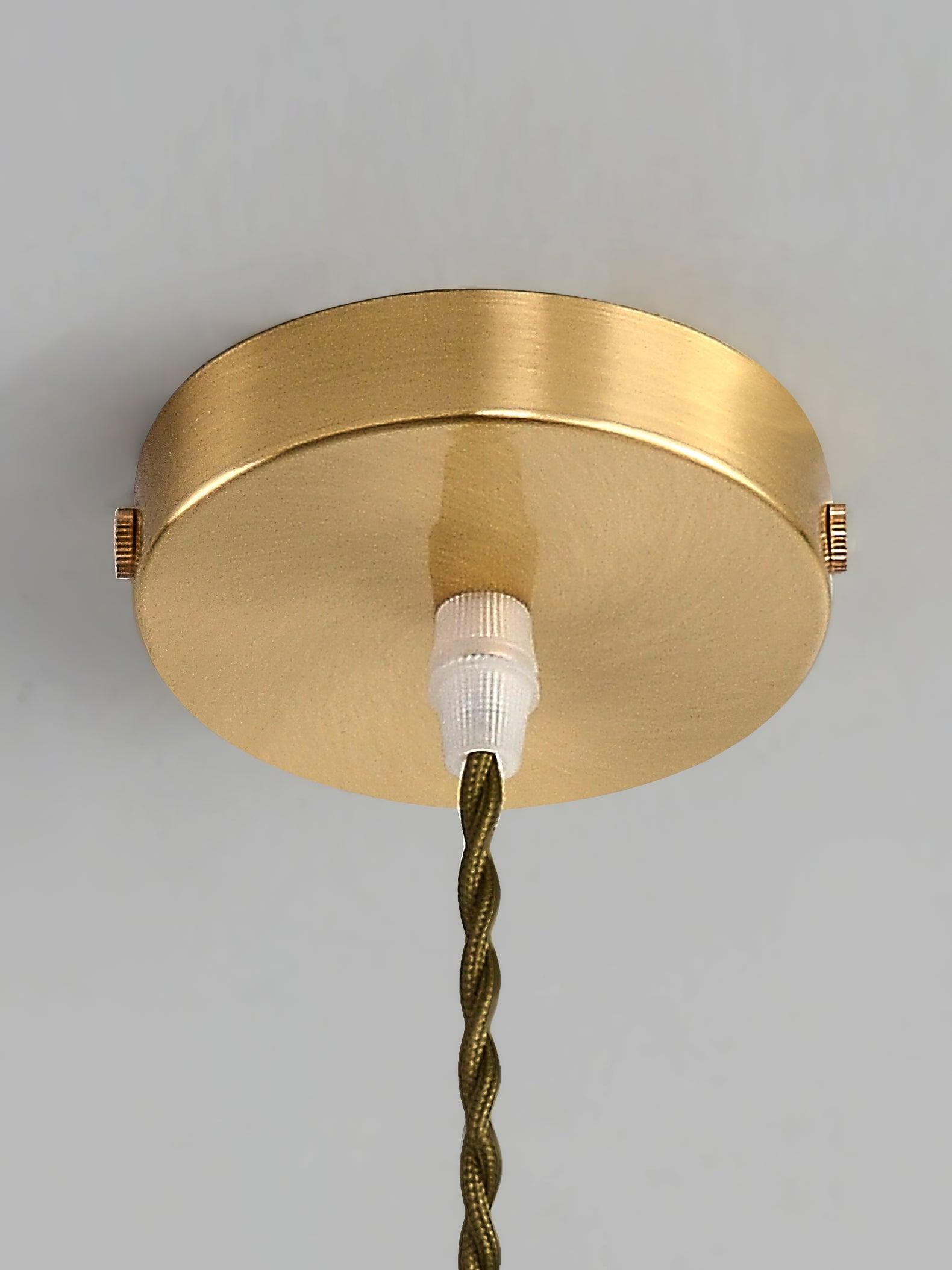 Flower Petal Glass Pendant Light M474