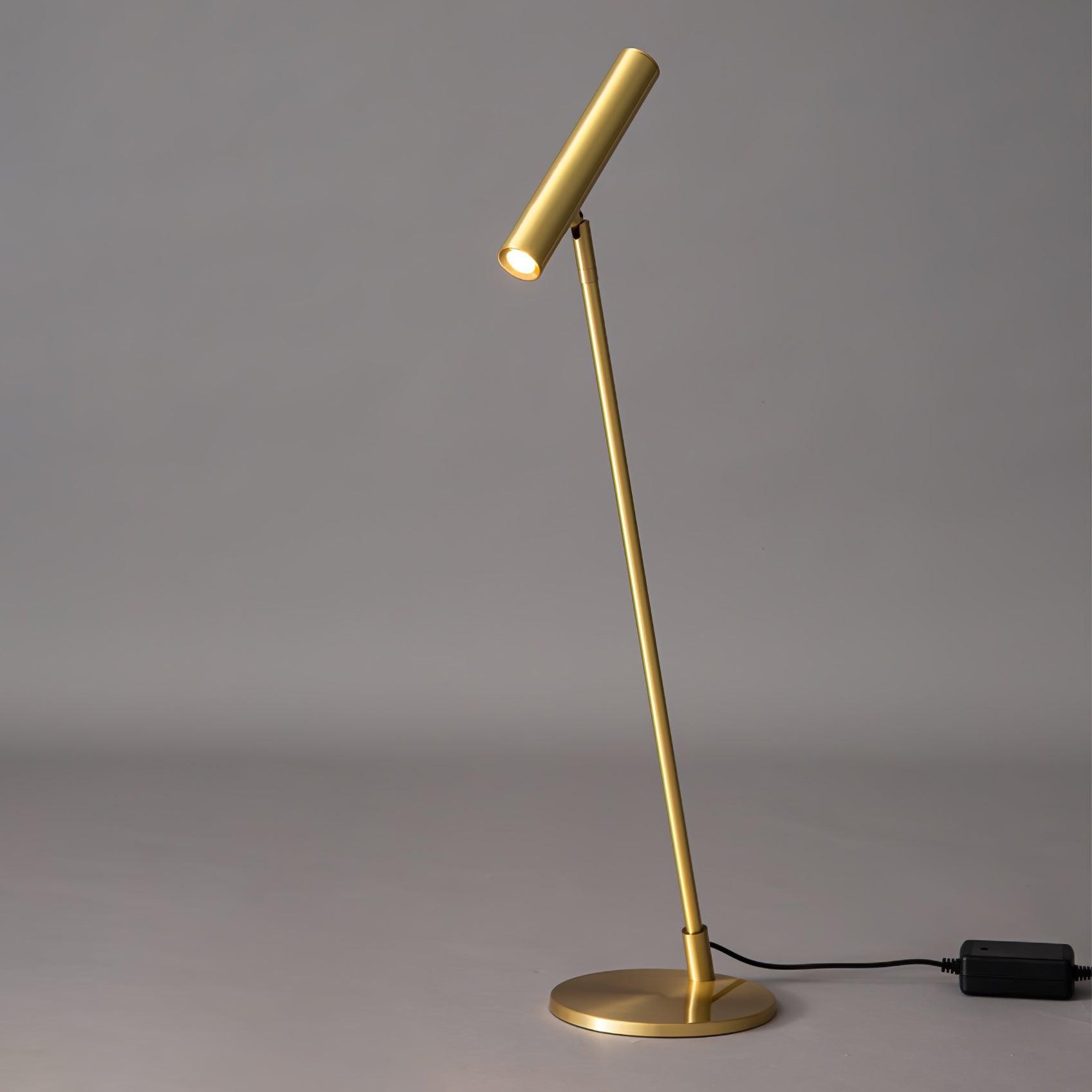 Modern Minimalist Brass Adjustable LED Floor Lamp M507