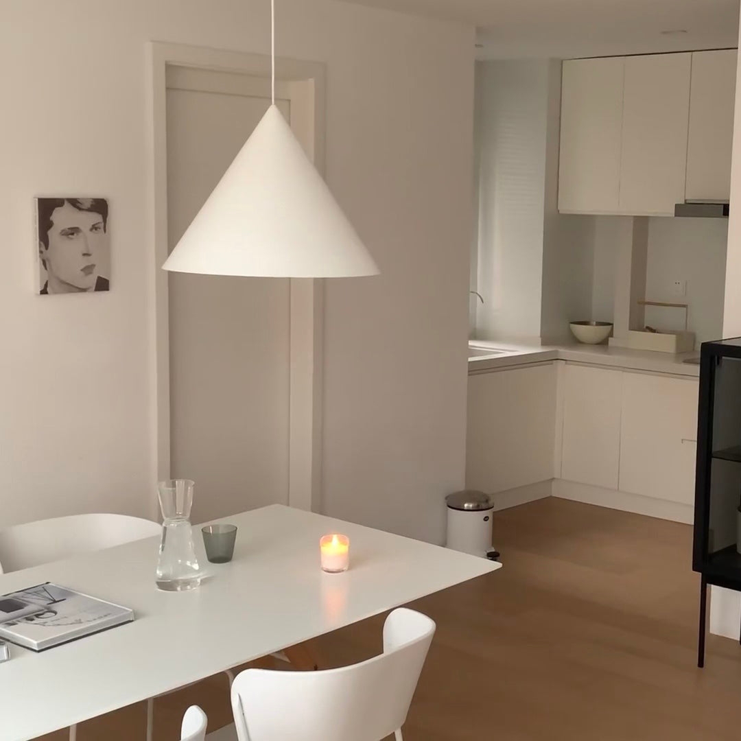Benjamin Pendant Lamp D585
