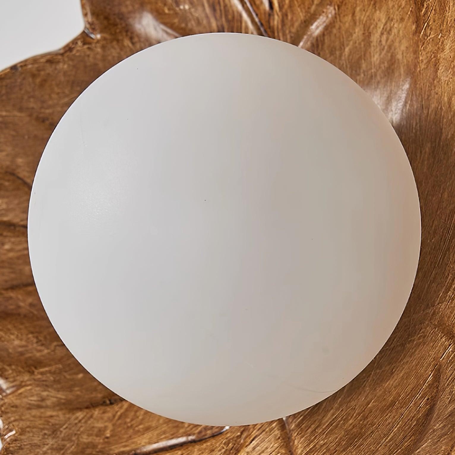 Maple Leaf Wall Light M362