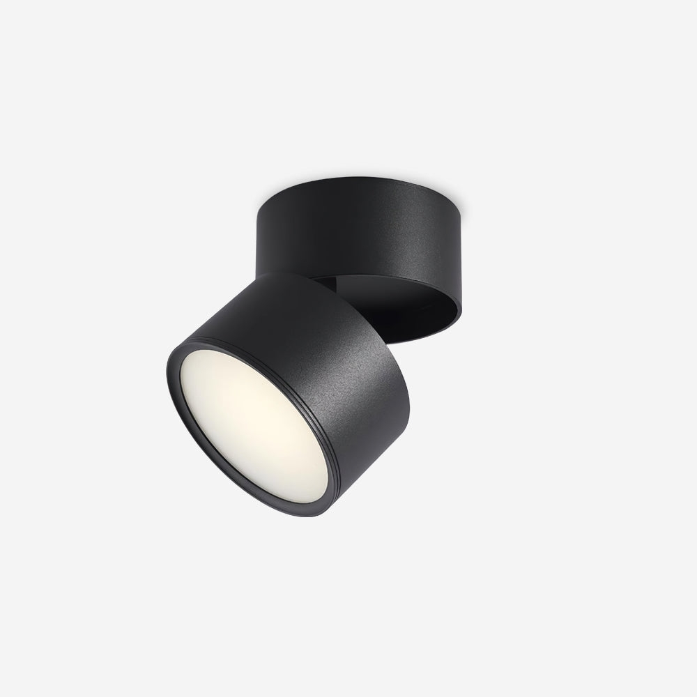 Favilla Surface Spotlight D04