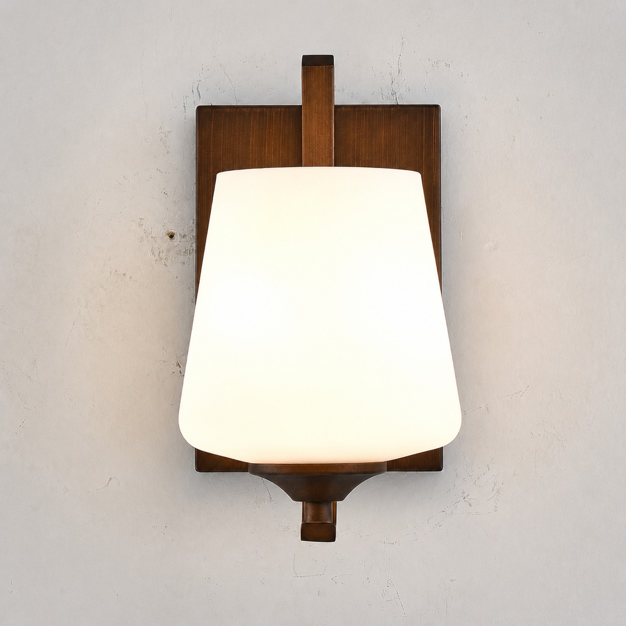 Front installed view of frosted glass wall sconce