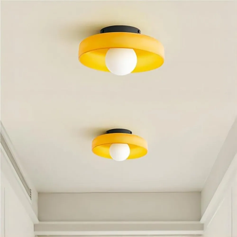 Modern Round Flush Mount Morandi Ceiling Lamp Wall Lamp S142