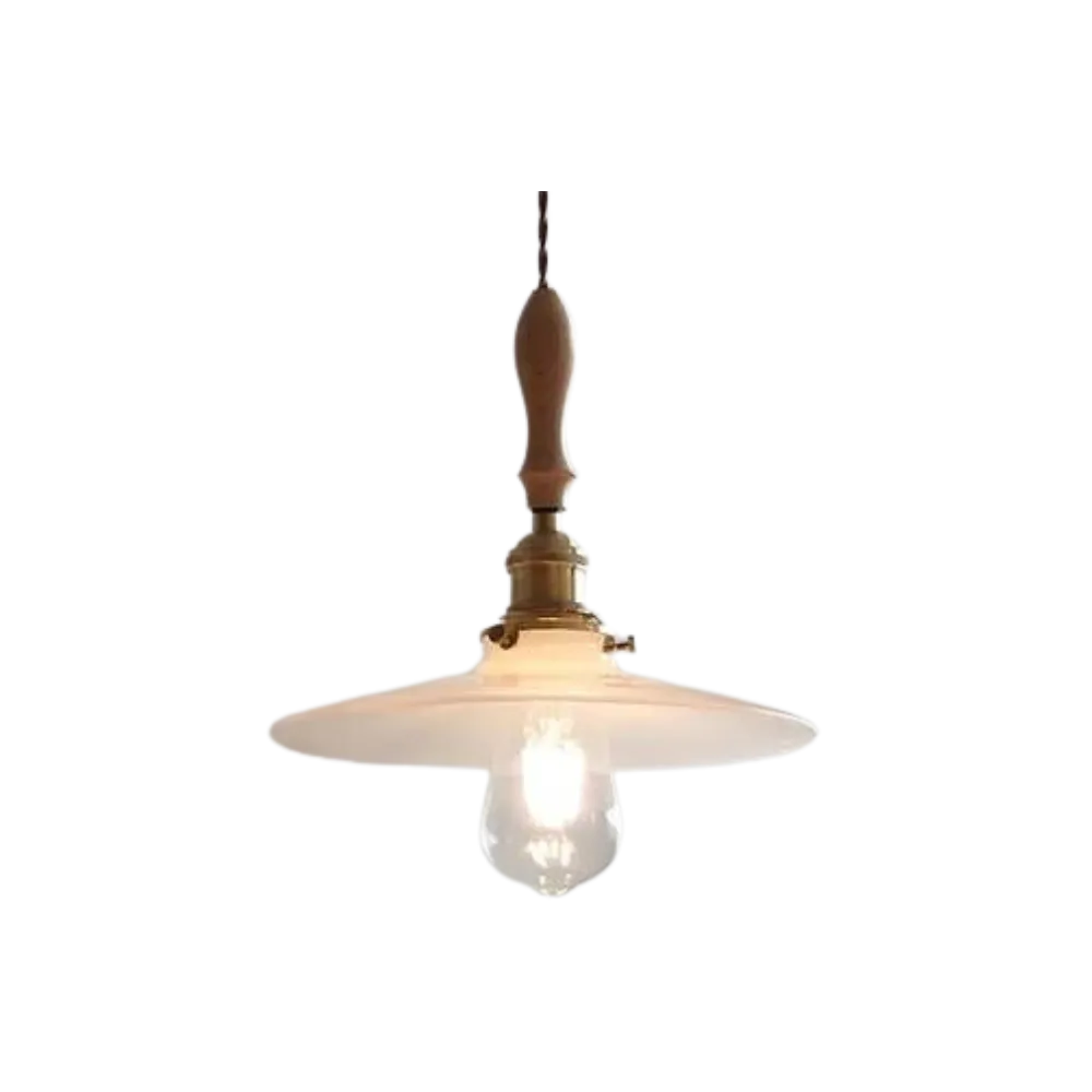 Japandi Elegance Velvet Light D871