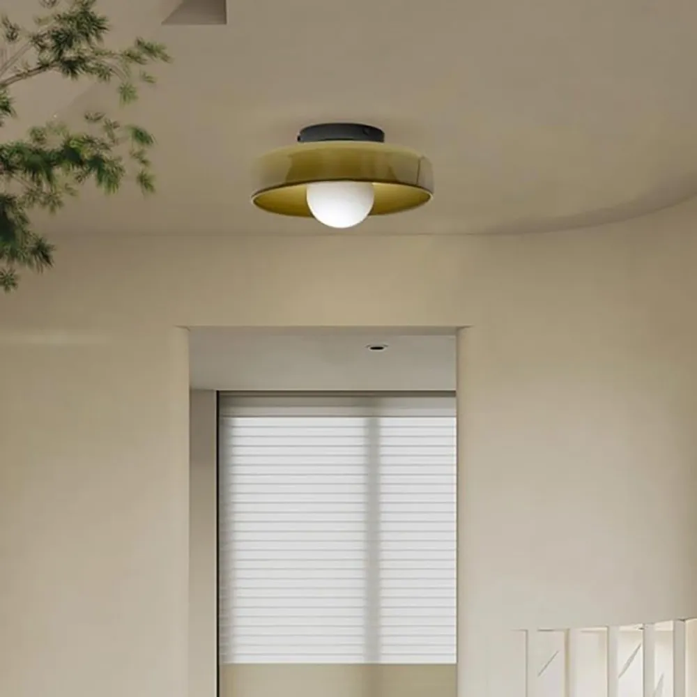 Modern Round Flush Mount Morandi Ceiling Lamp Wall Lamp S142