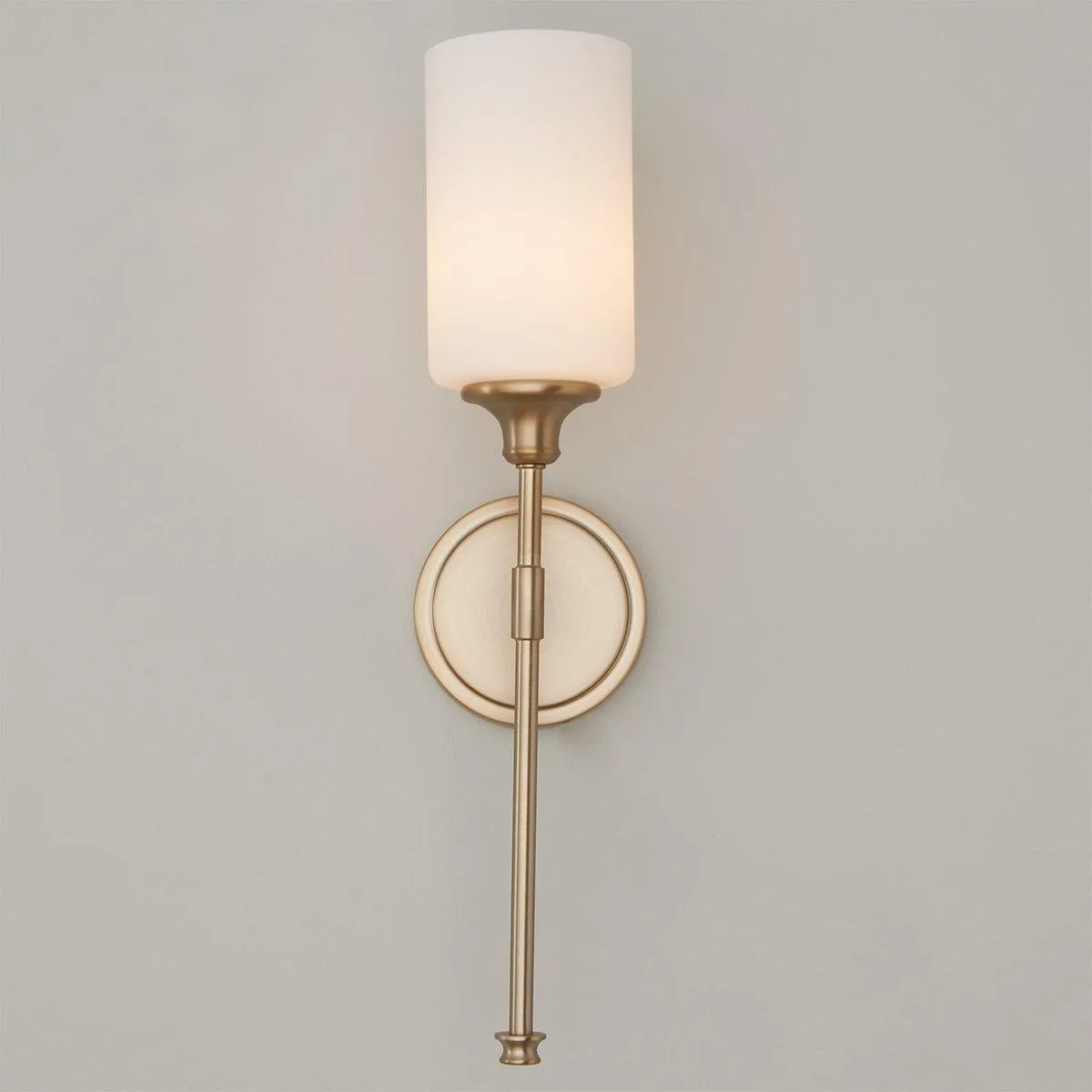 Tracie Wall Lamp D539