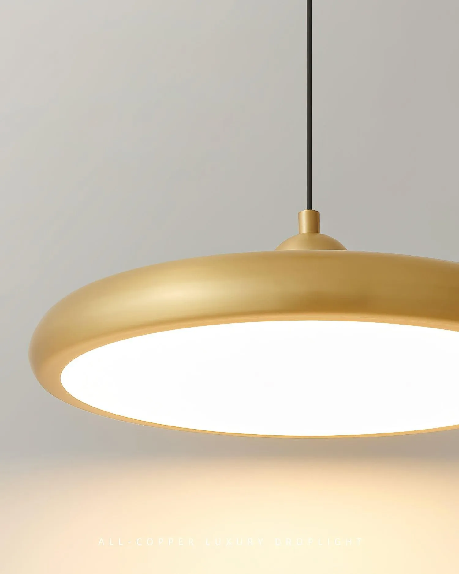 Thin Disc Pendant Lamp M509