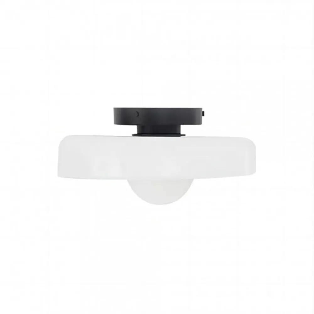 Modern Round Flush Mount Morandi Ceiling Lamp Wall Lamp S142