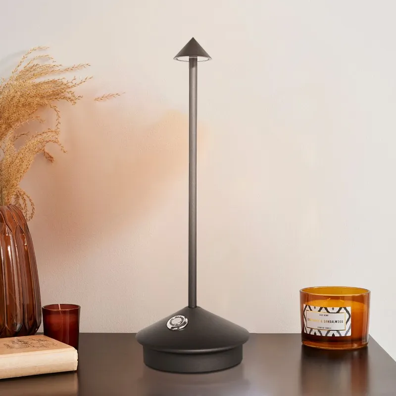 Pina Rechargeable LED Table Lamp For Bedroom S66