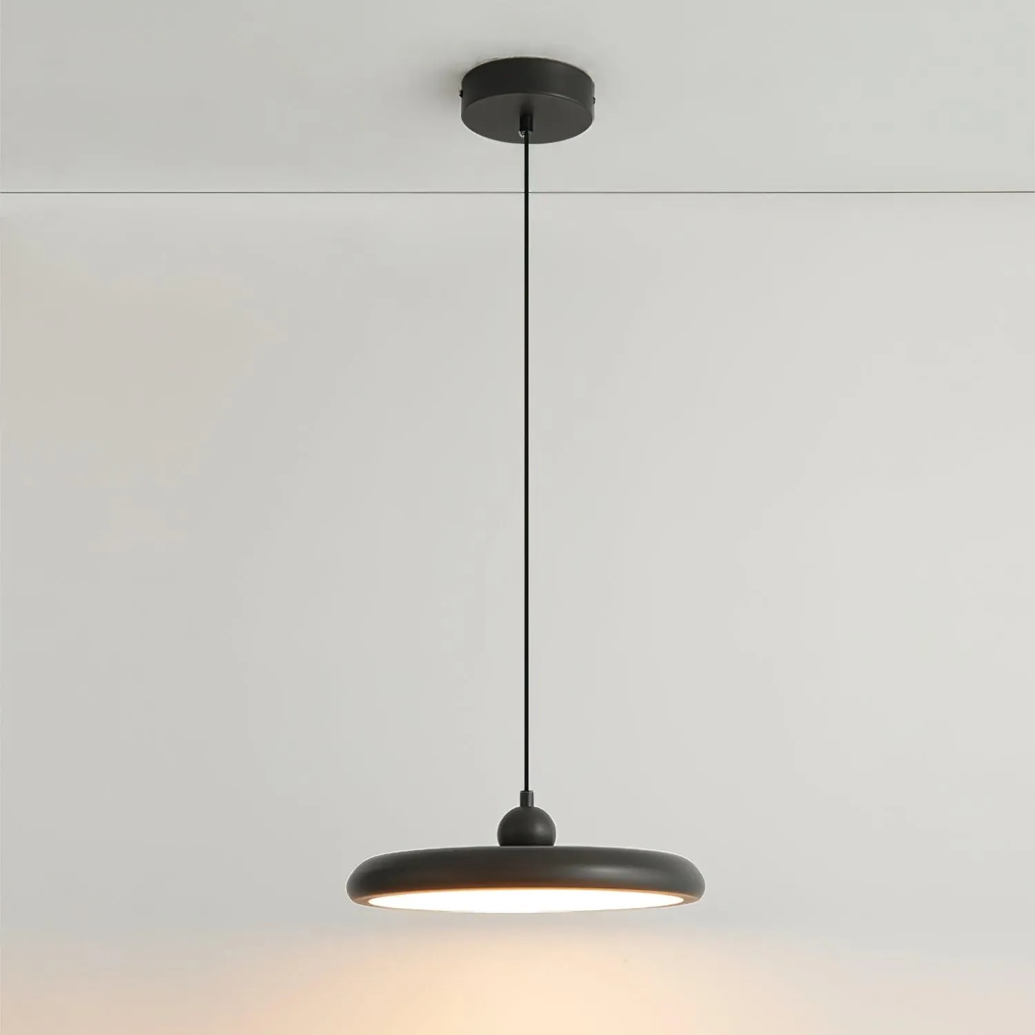 Thin Disc Pendant Lamp M509