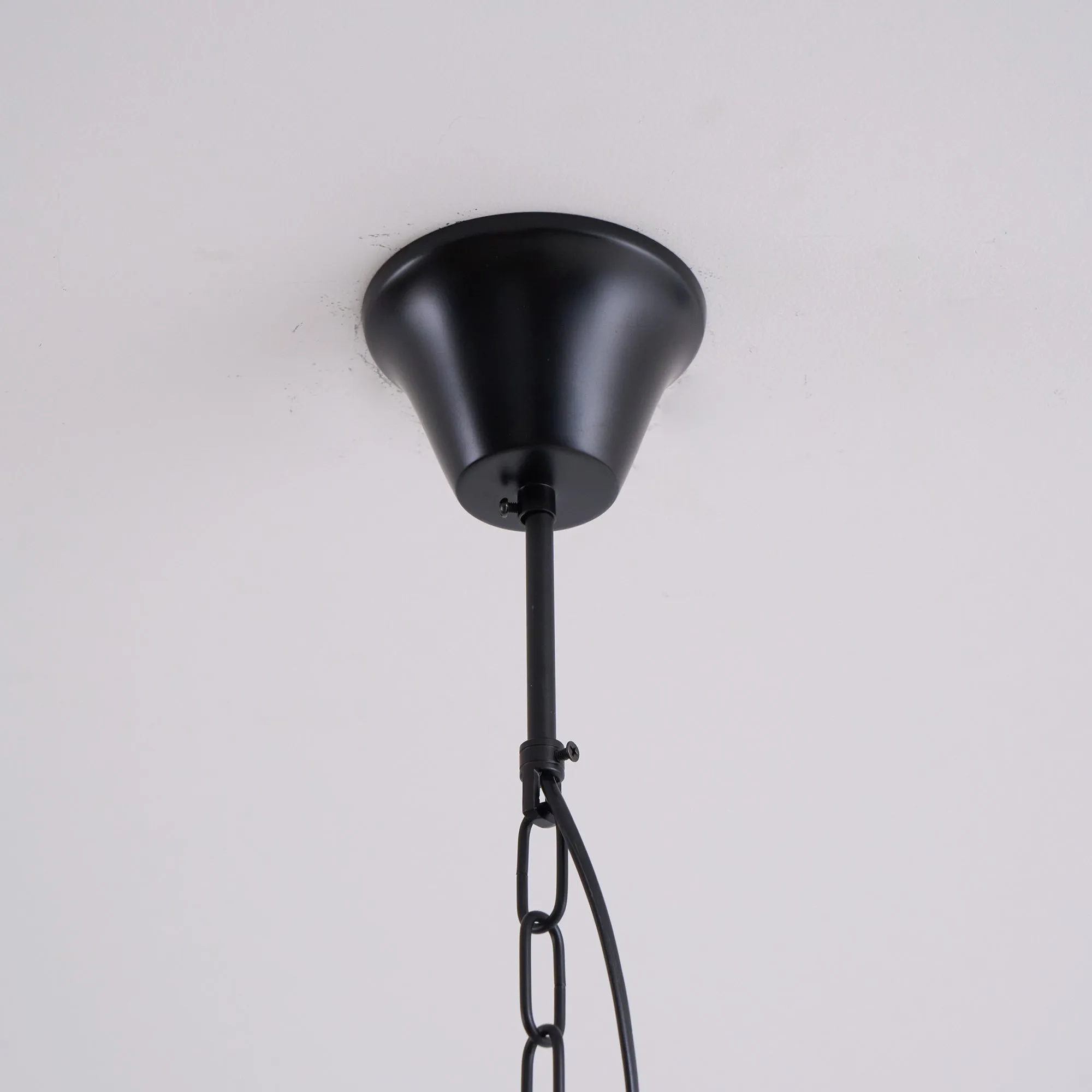 Braeden Pendant Light D533