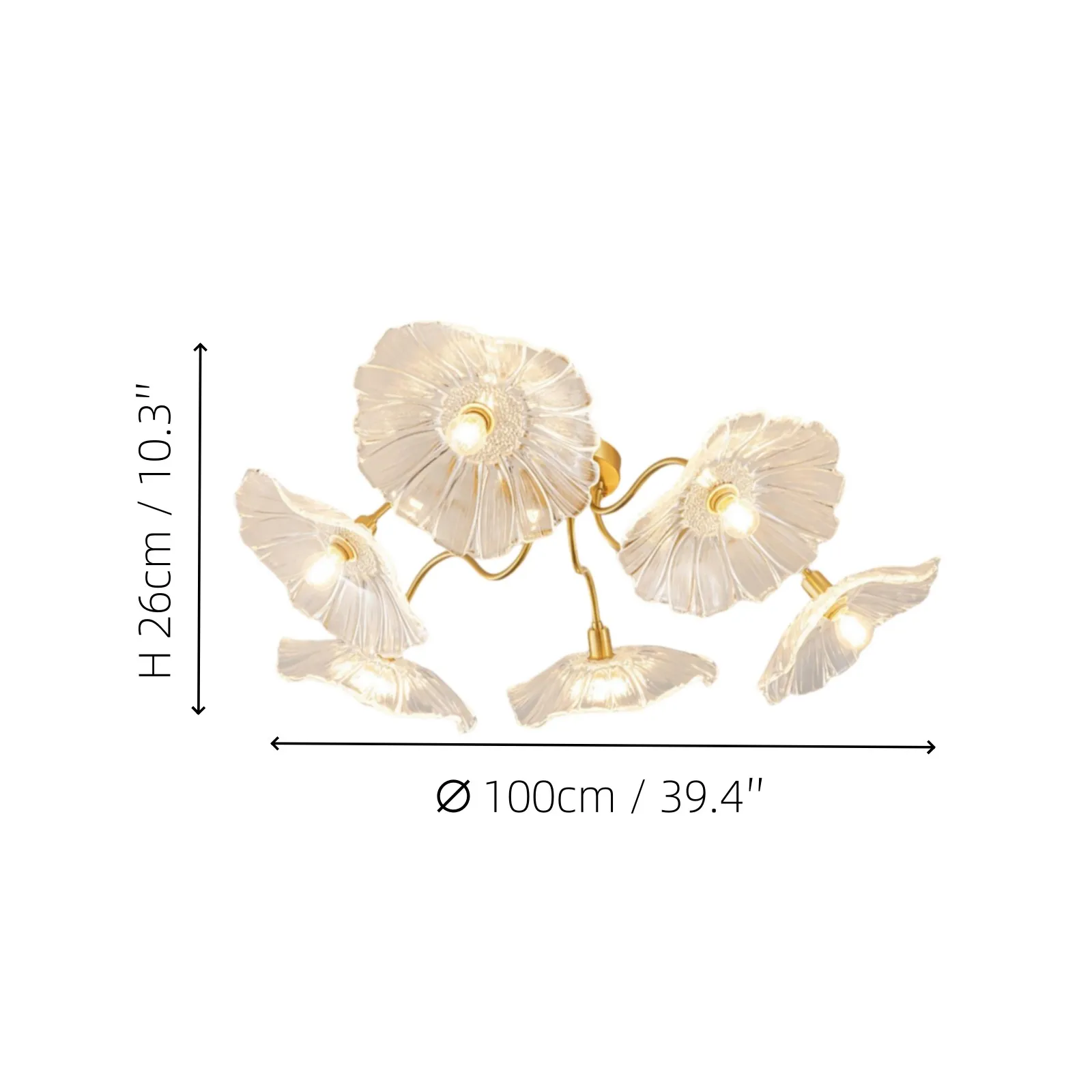 Murano Glass Flowers Ceiling Light P049