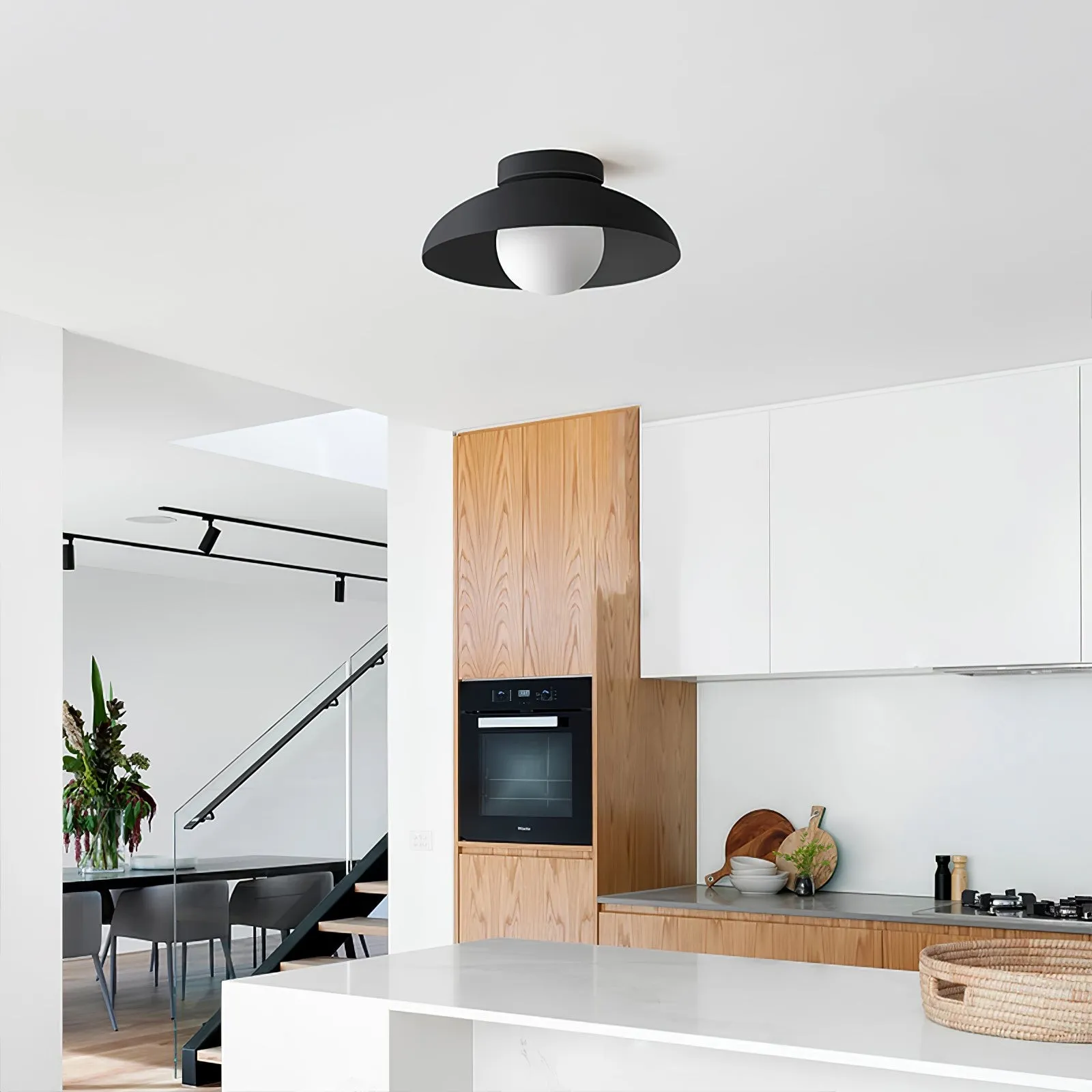 Matte Black Glass Dome Ceiling Lamp M553
