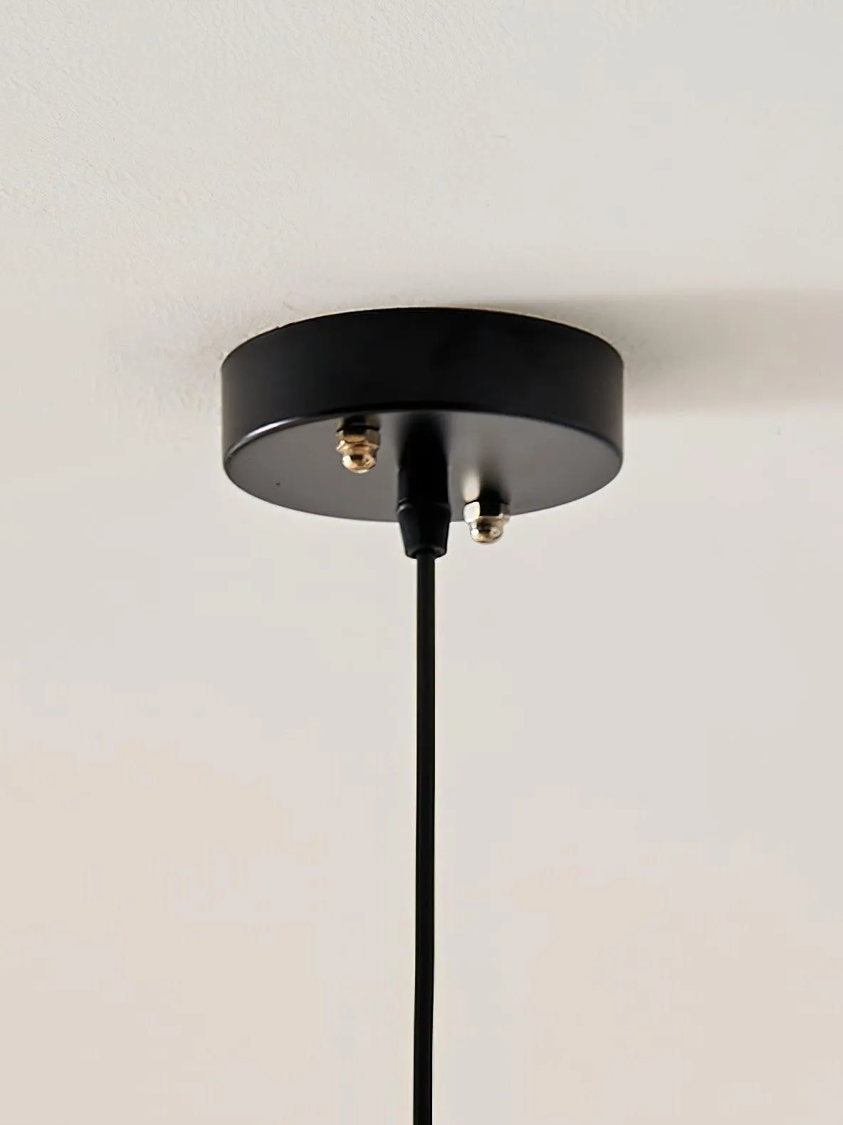 Banana Leaf Pendant Lamp T029