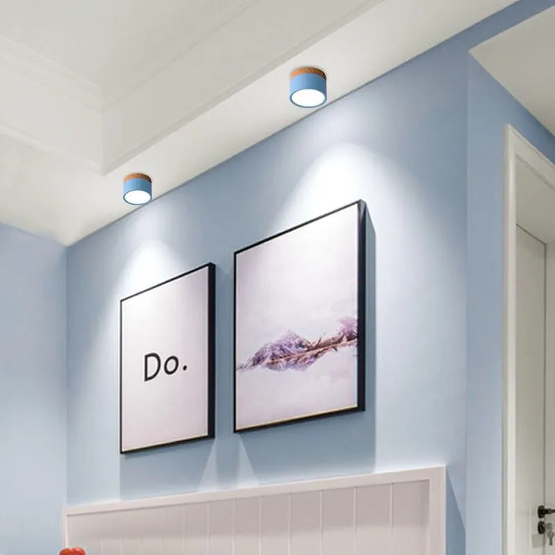 Don Nordic Modern Ceiling Light D881