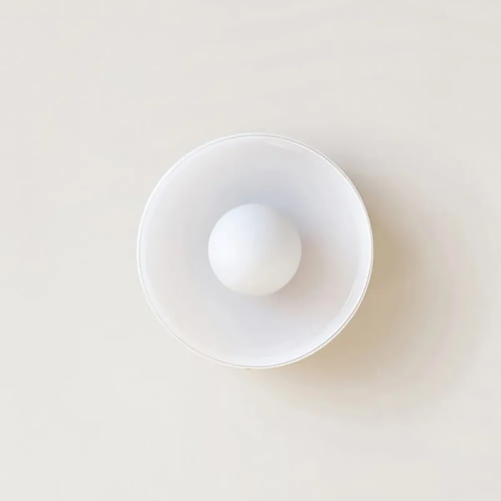 Modern Round Flush Mount Morandi Ceiling Lamp Wall Lamp S142