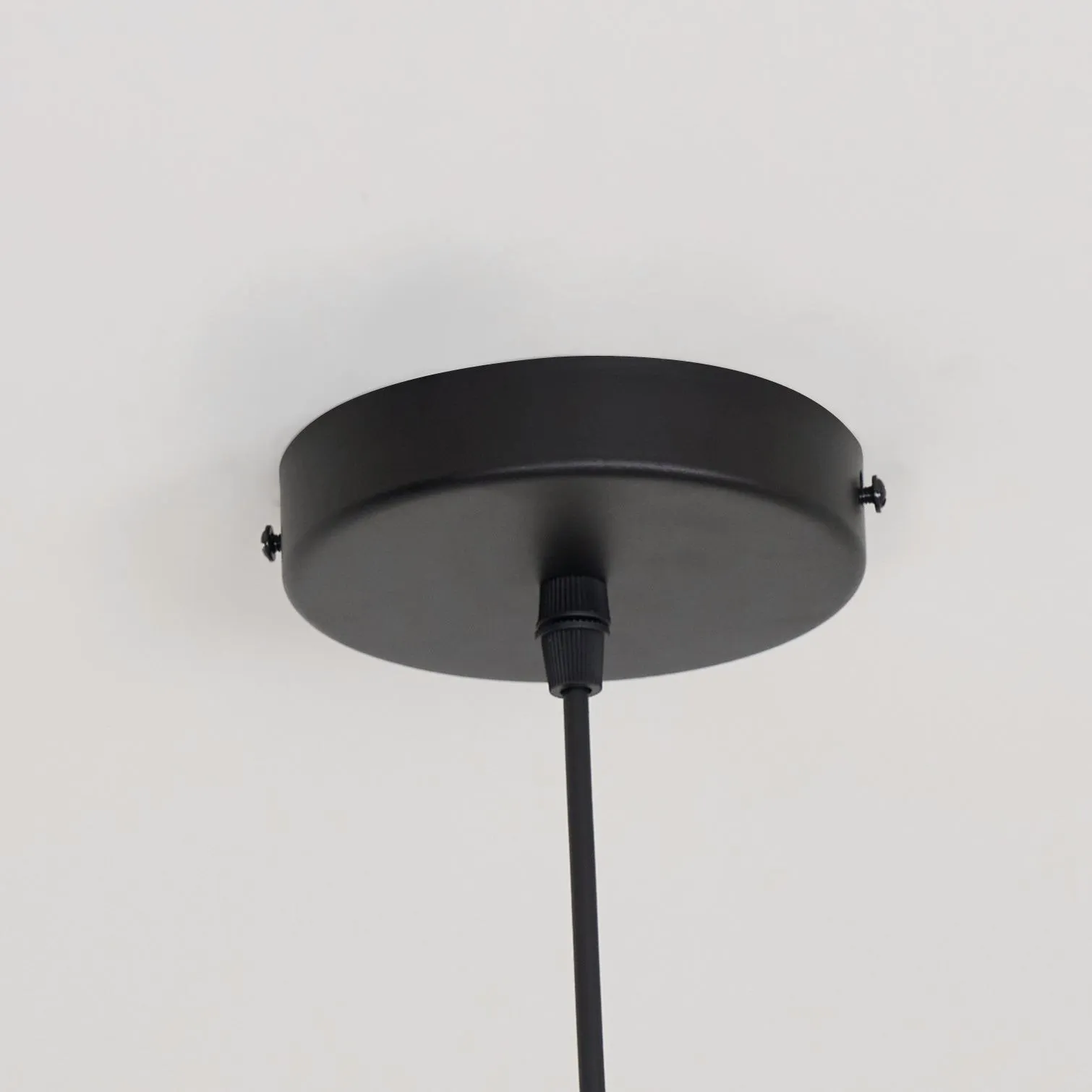 Baer Pendant Light T028