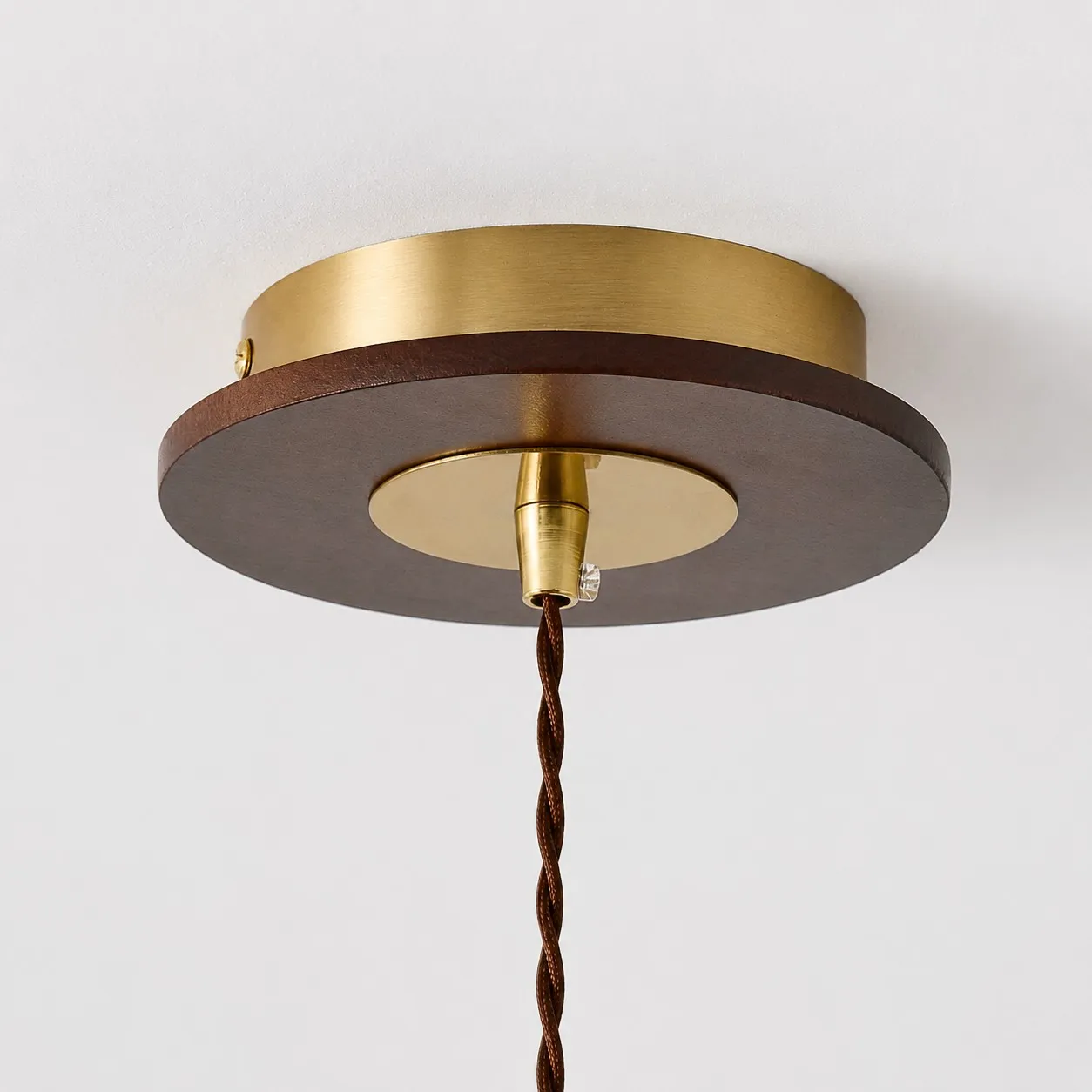 Round ceiling canopy and suspension cord detail