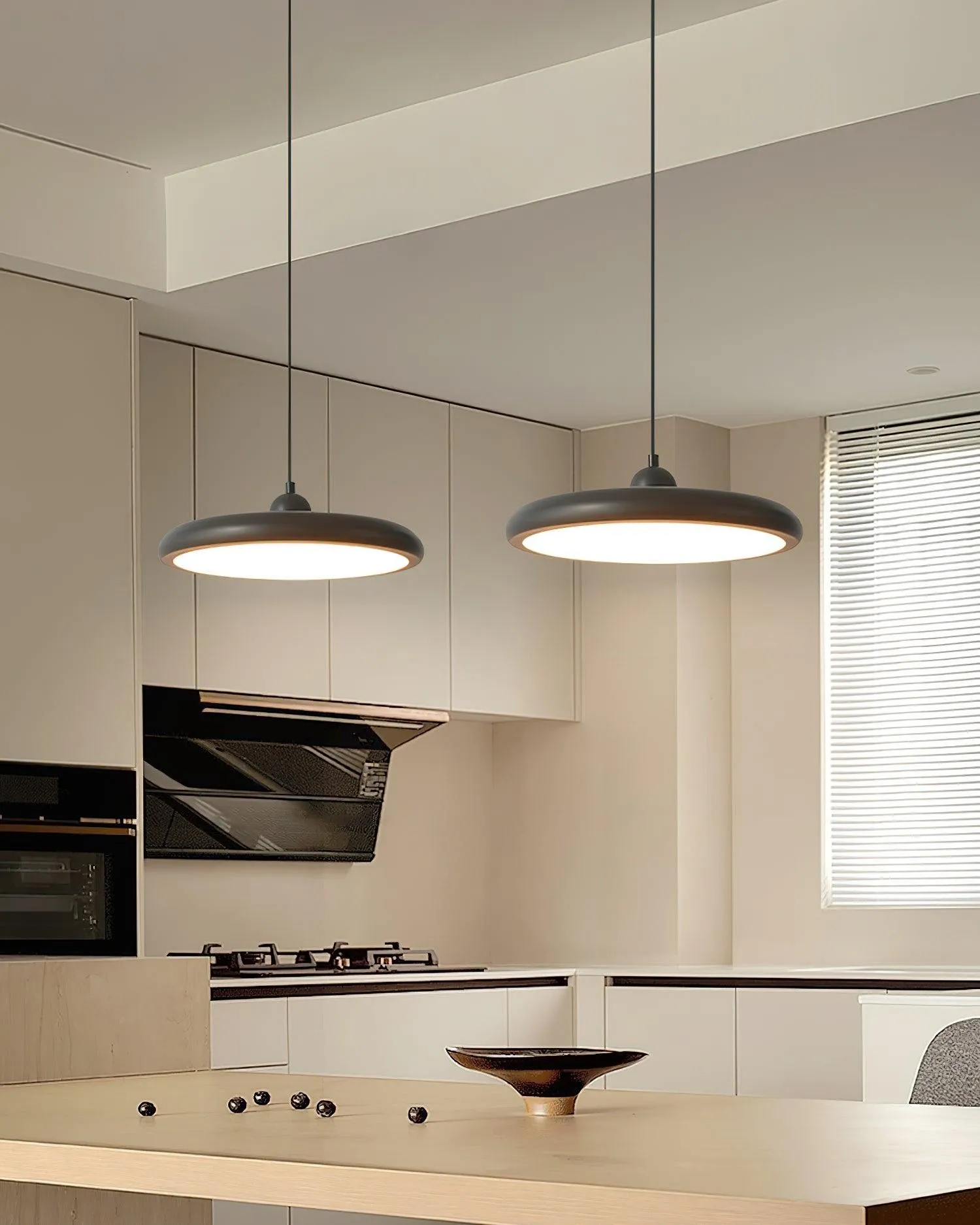 Thin Disc Pendant Lamp M509