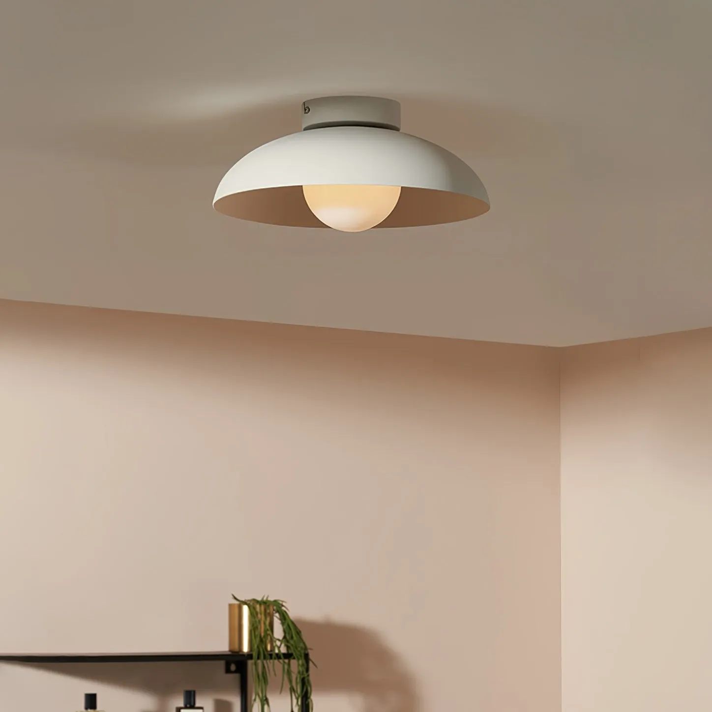 Matte Black Glass Dome Ceiling Lamp M553