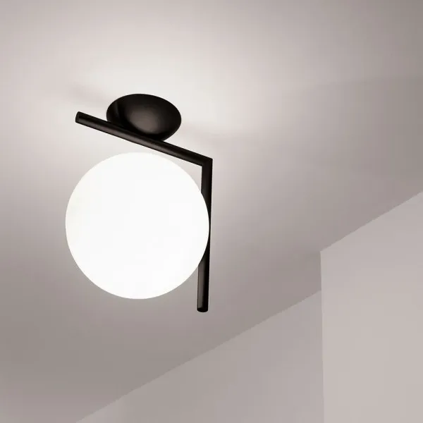 Stylish Glass Globe Wall Light/Ceiling Light S62