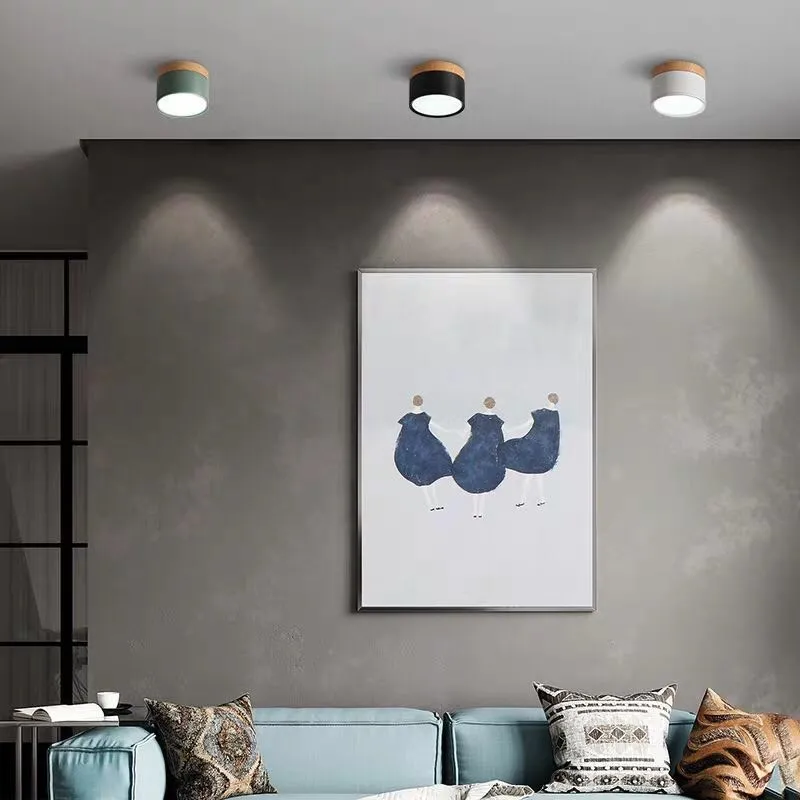 Don Nordic Modern Ceiling Light D881